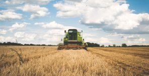 AGRICOOL, la primera escuela de verano agroalimentaria para universitarios y pymes