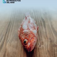 Informe Congreso AECOC Productos del Mar 2019