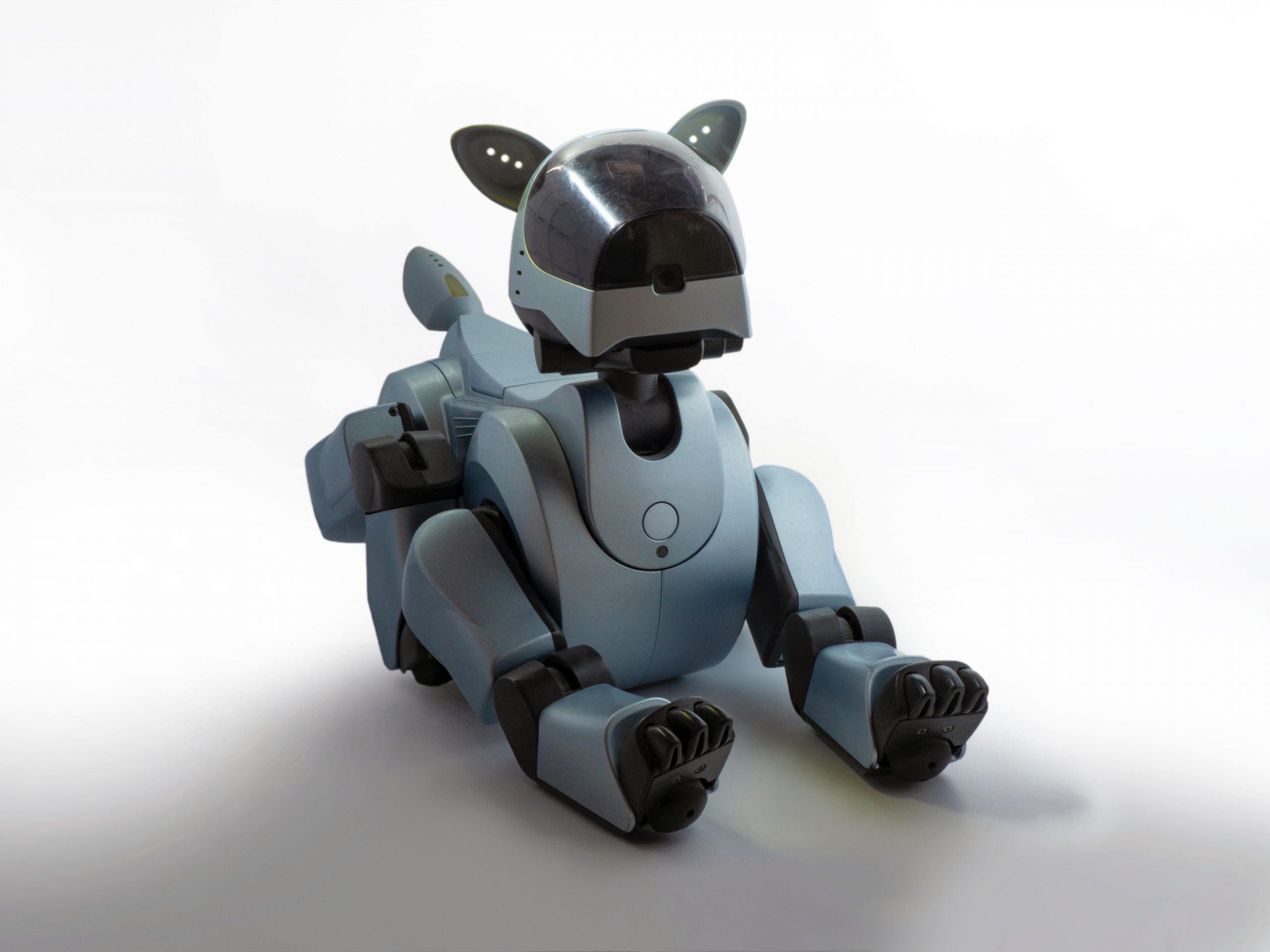 El perro robot Spot se pondrá a la venta por primera vez