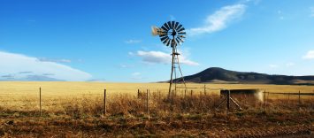 Fomento de la calidad agroalimentaria (FOCAL 2021)