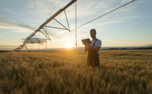 Next Generation EU: PERTE Agroalimentario como ejemplo de impulso a la transformación sectorial