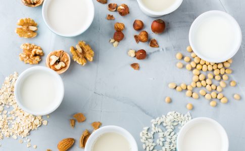 Alternativas vegetales a los lácteos