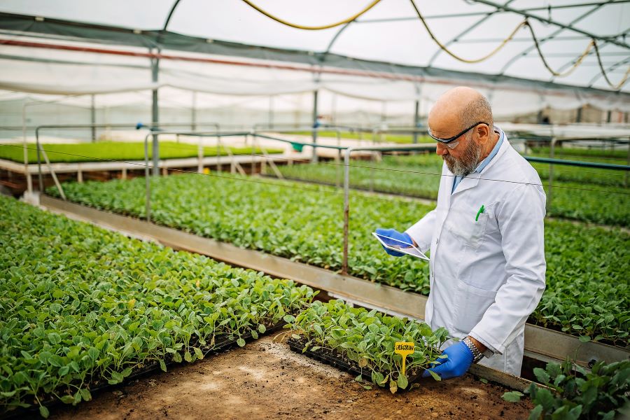 Así es como la Luz LED se relaciona con la producción de alimentos  sostenibles