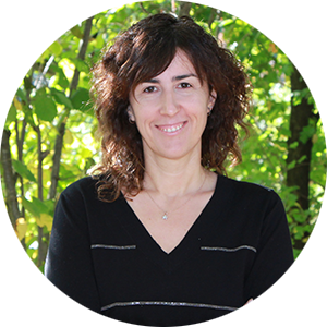 silvia-web