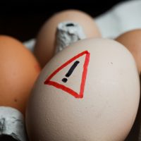 Alertas y crisis alimentarias: cómo proteger a los consumidores y reforzar su confianza