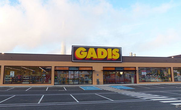 Informe Gadisa