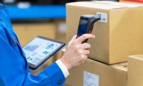 Optimizando el Canal Mayorista de Farmacia: Estandarización y Mejora Continua