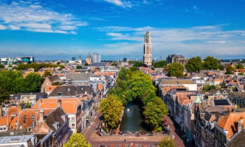 Picnic: La Revolución de la distribución alimentaria que combina tecnología y sostenibilidad.