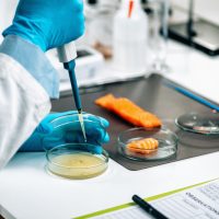 Diseñando barreras contra listeria monocytogenes