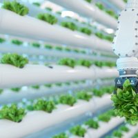 Critical Technologies: Construyendo el futuro del sistema alimentario