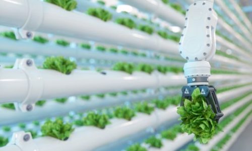 Critical Technologies: Construyendo el futuro del sistema alimentario
