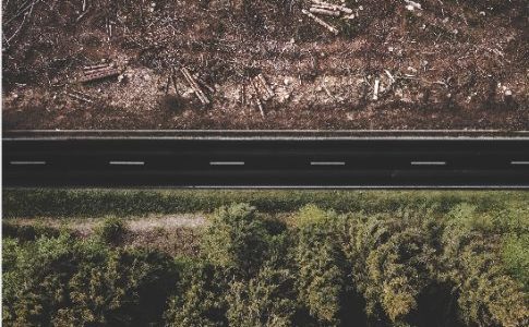 Últimas novedades del Reglamento Europeo contra la Deforestación