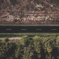 Últimas novedades del Reglamento Europeo contra la Deforestación