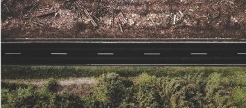 Últimas novedades del Reglamento Europeo contra la Deforestación