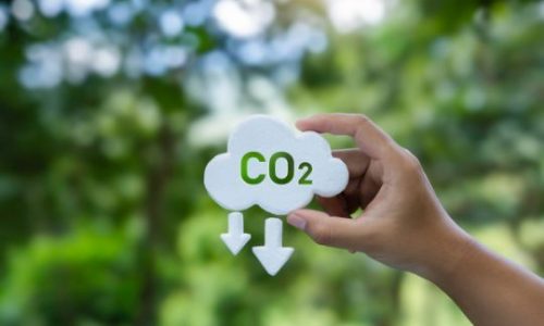 Descarbonización del Transporte: el papel del HVO