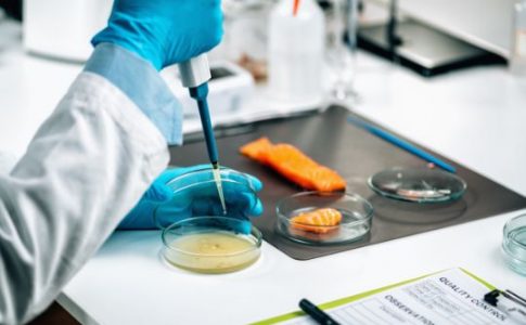 Diseñando barreras contra listeria monocytogenes