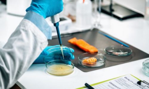 Diseñando barreras contra listeria monocytogenes