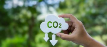 Descarbonización del Transporte: el papel del HVO