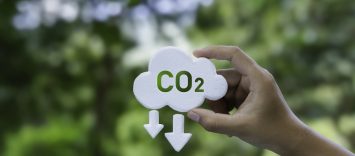 Desarrolla un Plan de Descarbonización