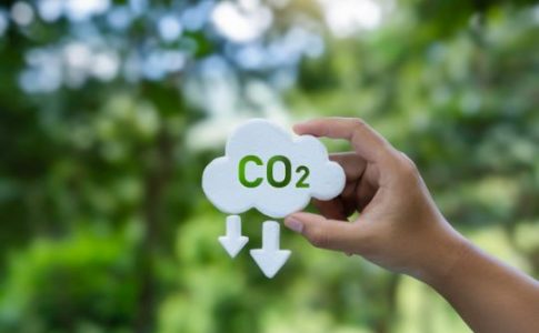 Desarrolla un Plan de Descarbonización