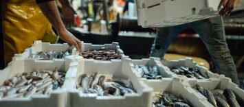 Trazabilidad en productos de pesca y acuicultura