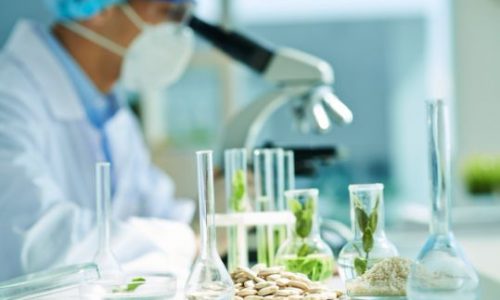 Claves para afrontar una alerta sanitaria