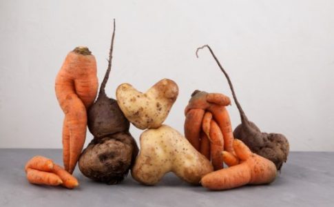 Cumple con la Ley de prevención de las pérdidas y del desperdicio alimentario