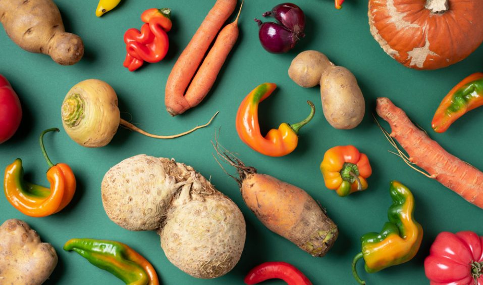 Informe del Desperdicio Alimentario en la Industria y la Distribución en España