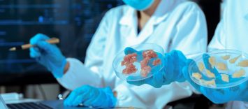 Metodología para validar la vida útil segura frente a Listeria monocytogenes