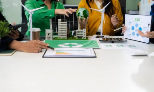 Taller de desarrollo de un Plan de Descarbonizacion