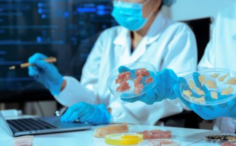 Metodología para validar la vida útil segura frente a Listeria monocytogenes